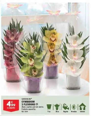 4,99  la comp  gardenline cymbidium 3 fleurons o avec cache-pot en verre. coloris assortis. ret: 5944  - inter 