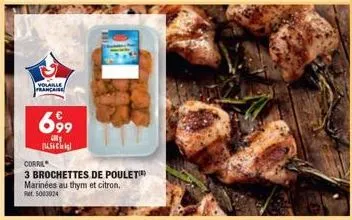 brochettes de poulet 