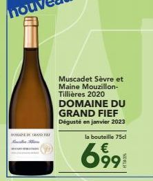 K  NE DE GRANDE  Muscadet Sèvre et Maine Mouzillon-Tillières 2020 DOMAINE DU GRAND FIEF Dégusté en janvier 2023  la bouteille 75cl  €  6991 