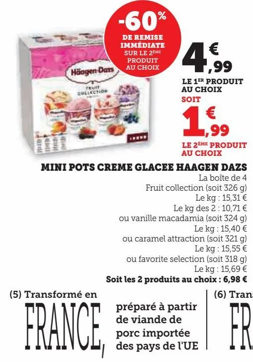 mini pots creme glacee haagen dazs