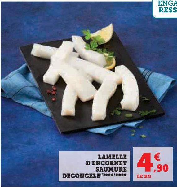 LAMELLE D'ENCORNET SAUMURE DECONGELE 