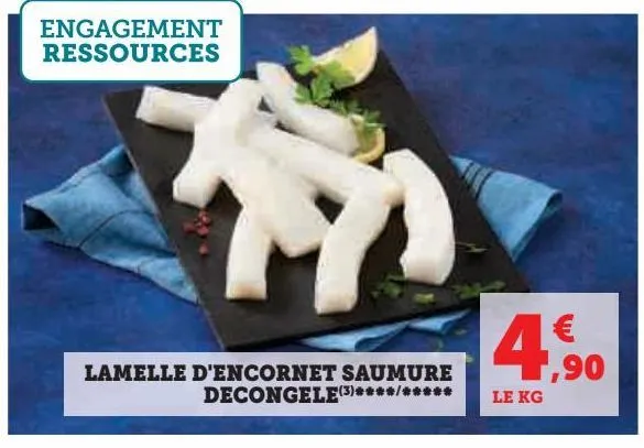 lamelle d'encornet saumure decongele