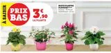 MIXTE PLANTES  FLEURIES offre à 3,9€ sur U Express