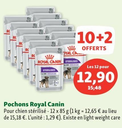 pâté pour chiens