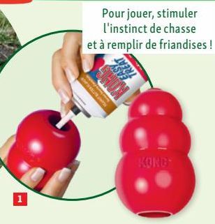 accessoires animaux