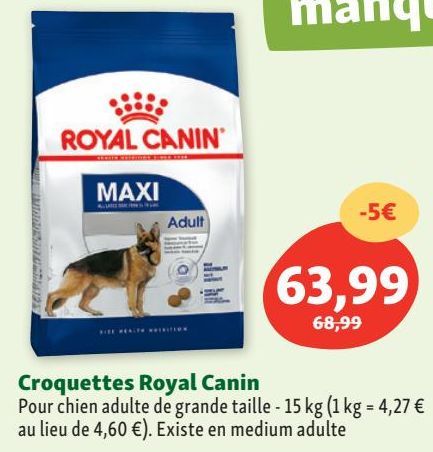 croquettes Royal canin