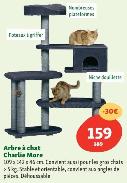 Accessoires pour chats