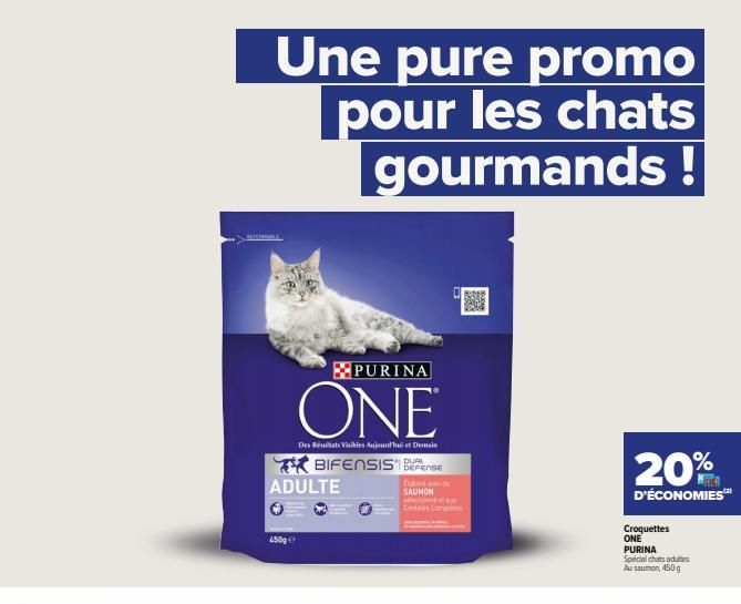 Une pure promo pour les chats gourmands!  PURINA  ONE  Des Résultats Visibles Aujourd'hui et Demais  450g Ⓒ  BIFENSIS BU  ADULTE  DEFENSE  Dute du SAUMON  torné Carles Compe  20%  D'ÉCONOMIES  Croquet