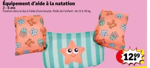 équipement d'aide à la natation  2-6 ans  fixation dans le dos à l'aide d'une boucle. poids de l'enfant : de 15 à 30 kg.  12⁹⁹  