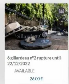 gillardeau  26.00 €  6 gillardeau nº2 rupture until 22/12/2022  available  in 