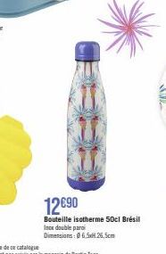 12€90  Bouteille isotherme 50cl Brésil Incx double paroi Dimensions: 6,5x26,5cm 