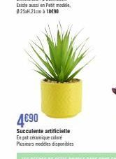 4€90  Succulente artificielle En pot céramique colare  Plusieurs modèles disponibles 