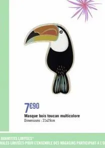 7690  masque bois toucan multicolore dimensions: 21x29cm 