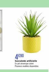 4€90  Succulente artificielle En pot céramique coloré Plusieurs modeles disponibles 