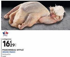 Le kilogramme  1629  PIGEONNEAU EFFILÉ ORIGINE FRANCE  barquette  halal 
