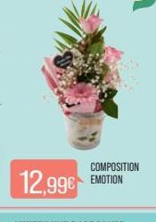 COMPOSITION  12,99€ EMOTION 