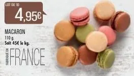 lot de 10  4,95€  macaron 110 g soit 45€ le kg.  france 