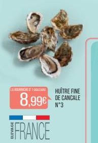 LA BOURNICHETOQUIZAINE  FRANCE  HUÎTRE FINE  8,99€ DE CANCALE  N°3 