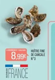 la bournichetoquizaine  france  huître fine  8,99€ de cancale  n°3 