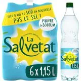 EAU MINÉRALE GAZEUSE SALVETAT offre à 3,3€ sur Auchan