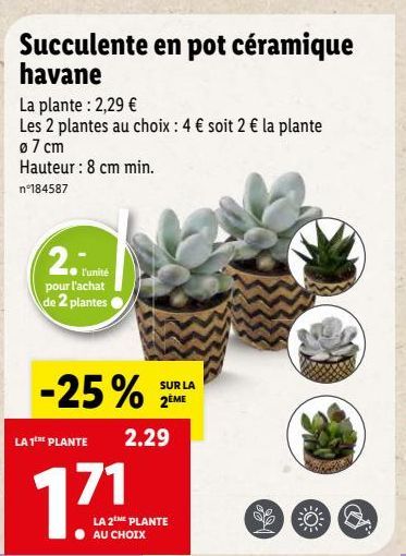 plantes