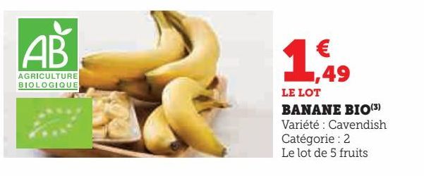 BANANE BIO 