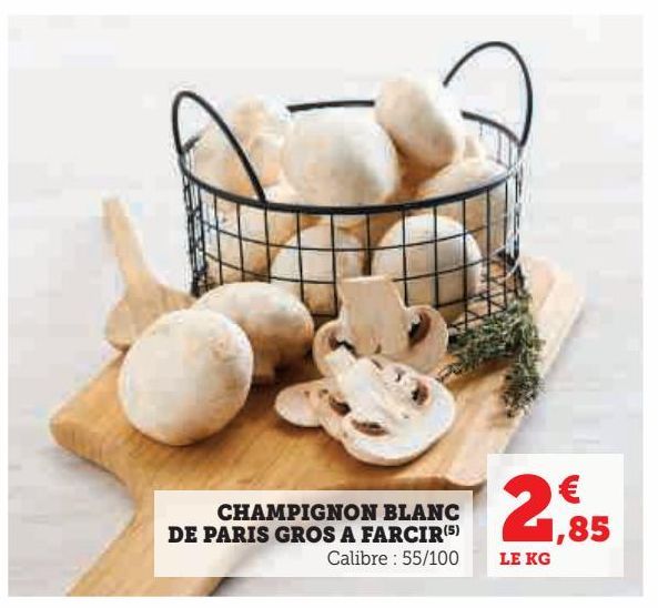 CHAMPIGNON BLANC DE PARIS GROS A FARCIR