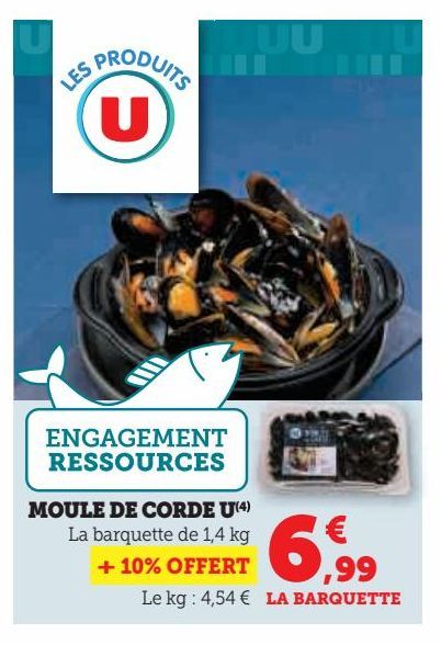 MOULE DE CORDE U