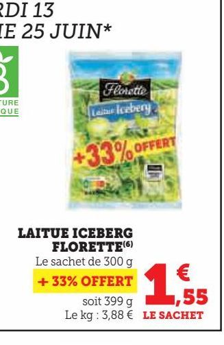 LAITUE ICEBERG FLORETTE