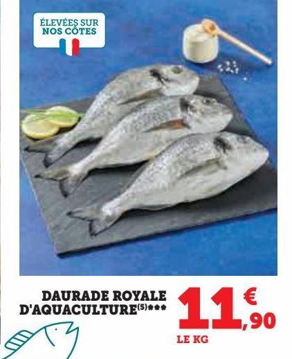 DAURADE ROYALE D'AQUACULTURE 