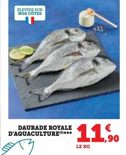 daurade royale d'aquaculture 