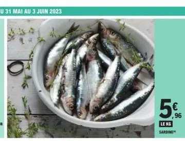 kknd  ,96  le kg  sardine 