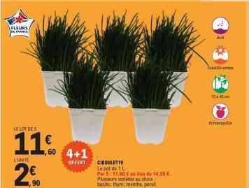 FLEURS DE FRANCE  LE LOT DE 5  11.C  L'UNITE  60 4+1  OFFERT  CIBOULETTE Le pot de 1 L  Par 5: 11,60 € au lieu de 14,50 € Plusieurs variétés au choix  basilic, thym, menthe, perst  Avri  Prver 