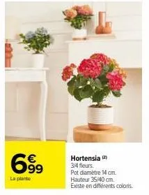 699  la plante  hortensia 2 3/4 fleurs.  pot diamètre 14 cm. hauteur 35/40 cm.  existe en différents colors. 
