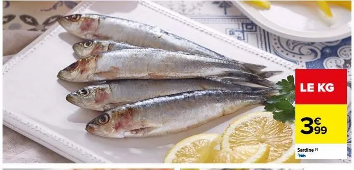 le kg  399  sardine 