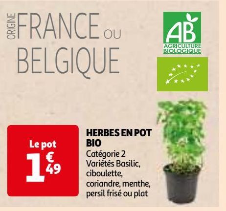 HERBES EN POT BIO