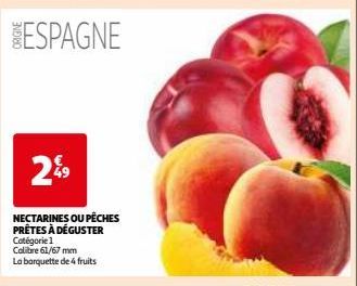 NECTARINES OU PÊCHES PRÊTES À DÉGUSTER