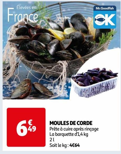 MOULES DE CORDE