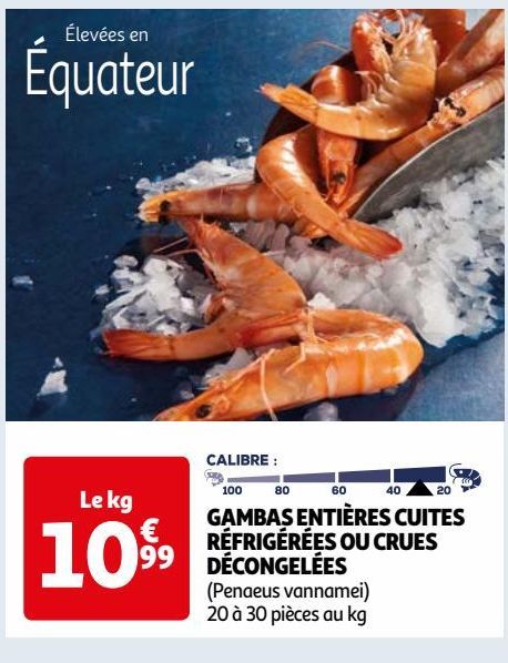 GAMBAS ENTIÈRES CUITES RÉFRIGÉRÉES OU CRUES DÉCONGELÉES