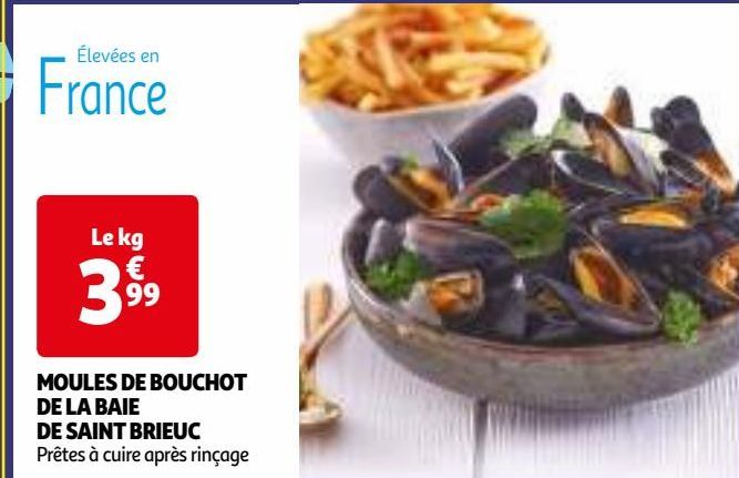 MOULES DE BOUCHOT DE LA BAIE DE SAINT BRIEUC