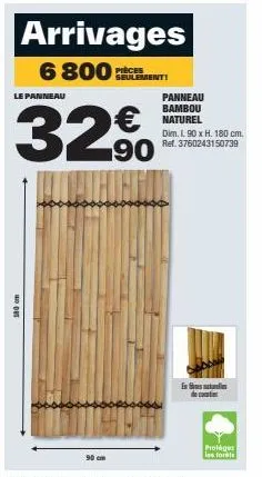 bambou 