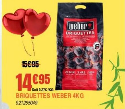 Briquettes Weber 4kg offre à 14,95€