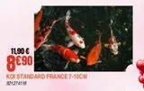 Koi standard france 7-10cm offre à 8,9€ sur Jardiland