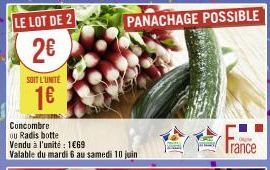 LE LOT DE 2  2€  SOIT L'UNITE  1€  Concombre ou Radis botte  Vendu à l'unité : 1€69  Valable du mardi 6 au samedi 10 juin  PANACHAGE POSSIBLE  A  press  o  Irance 