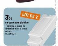 LOT DE 2  399  Ice-pack pour glacière +Prolonge la durée de conservation et la tenue au frais Ref.: 8609375 
