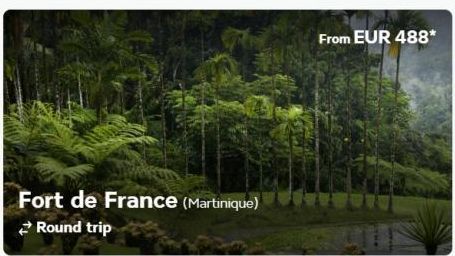 Fort de France (Martinique) Round trip  From EUR 488* 