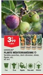 399  la plat  gardenline  plante méditerranéenne o variétés assorties, dont citronnier, olivier, figuier, etc.  pat 6810  9cm  75m regulier in sole ext 