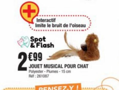 jouet musical pour chat