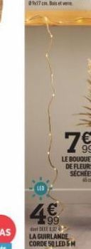 LED  LE BOUQUET DE FLEURS SÉCHÉES 16cm  4€  DEEE 0.02 LA GUIRLANDE CORDE 50 LED 5M 