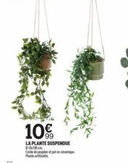 10€  la plante suspendue 10cm conte de peuplier et pet en céramique  plante arificielle 